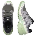 Damen Laufschuhe Salomon Speedcross 6 Castlerock/Vanilla Ice/Smoke Green