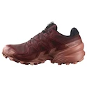 Damen Laufschuhe Salomon Speedcross 6 Gore-Tex Rum Raisin/Barn Red/Canyon Clay