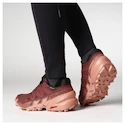 Damen Laufschuhe Salomon Speedcross 6 Gore-Tex Rum Raisin/Barn Red/Canyon Clay