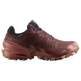Damen Laufschuhe Salomon Speedcross 6 Gore-Tex Rum Raisin/Barn Red/Canyon Clay