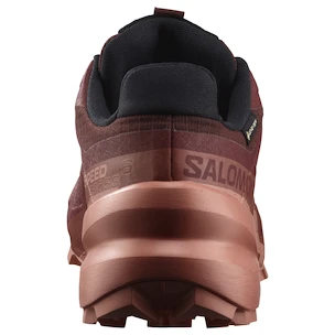 Damen Laufschuhe Salomon Speedcross 6 Gore-Tex Rum Raisin/Barn Red/Canyon Clay