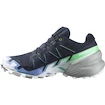 Damen Laufschuhe Salomon Speedcross 6 Gtx Carbon / Provence / White