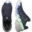Damen Laufschuhe Salomon Speedcross 6 Gtx Carbon / Provence / White