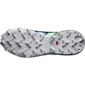 Damen Laufschuhe Salomon Speedcross 6 Gtx Carbon / Provence / White