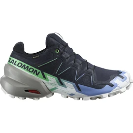 Damen Laufschuhe Salomon Speedcross 6 Gtx Carbon / Provence / White