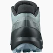Damen Laufschuhe Salomon Speedcross Speedcross 5 W Slate/Trooper