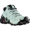 Damen Laufschuhe Salomon Speedcross Speedcross 6 GTX W Aquifer