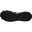 Damen Laufschuhe Salomon Speedcross Speedcross 6 GTX W Aquifer