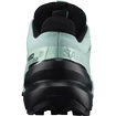 Damen Laufschuhe Salomon Speedcross Speedcross 6 GTX W Aquifer
