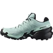 Damen Laufschuhe Salomon Speedcross Speedcross 6 GTX W Aquifer