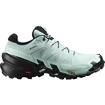 Damen Laufschuhe Salomon Speedcross Speedcross 6 GTX W Aquifer