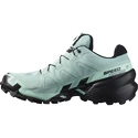 Damen Laufschuhe Salomon Speedcross Speedcross 6 GTX W Aquifer