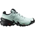 Damen Laufschuhe Salomon Speedcross Speedcross 6 GTX W Aquifer