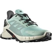 Damen Laufschuhe Salomon  Supercross Supercross 4 W Aqua/Lunar Rock