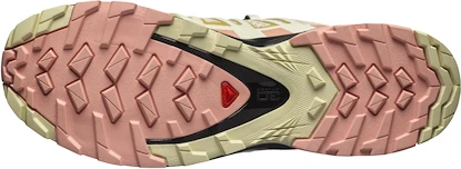 Damen Laufschuhe Salomon XA Pro 3D V8 Frozen Dew