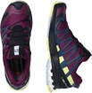 Damen Laufschuhe Salomon XA Pro 3D V8 GTX W Plum Caspia