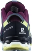 Damen Laufschuhe Salomon XA Pro 3D V8 GTX W Plum Caspia