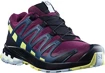 Damen Laufschuhe Salomon XA Pro 3D V8 GTX W Plum Caspia