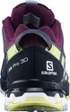 Damen Laufschuhe Salomon XA Pro 3D V8 GTX W Plum Caspia