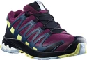Damen Laufschuhe Salomon XA Pro 3D V8 GTX W Plum Caspia