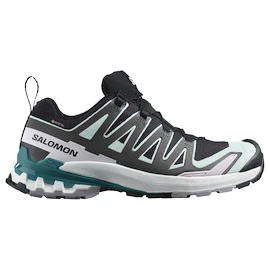 Damen Laufschuhe Salomon Xa Pro 3D V9 Gore-Tex Black/Bleached Aqua/Harbor Blue