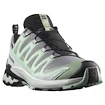 Damen Laufschuhe Salomon Xa Pro 3D V9 Gore-Tex Quiet Shade/Lily Pad/Blue Haze
