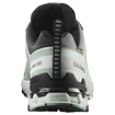 Damen Laufschuhe Salomon Xa Pro 3D V9 Gore-Tex Quiet Shade/Lily Pad/Blue Haze