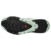 Damen Laufschuhe Salomon Xa Pro 3D V9 Gore-Tex Quiet Shade/Lily Pad/Blue Haze