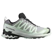 Damen Laufschuhe Salomon Xa Pro 3D V9 Gore-Tex Quiet Shade/Lily Pad/Blue Haze