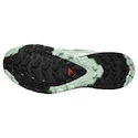 Damen Laufschuhe Salomon Xa Pro 3D V9 Gore-Tex Quiet Shade/Lily Pad/Blue Haze