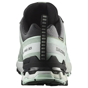 Damen Laufschuhe Salomon Xa Pro 3D V9 Gore-Tex Quiet Shade/Lily Pad/Blue Haze