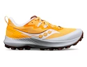 Damen Laufschuhe Saucony  Peregrine 14 Flax/Clove