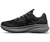 Damen Laufschuhe Saucony Ride 15 TR GTX Black/Charcoal