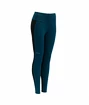 Damen Leggins Devold  Running Tights Flood