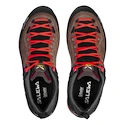 Damen-Outdoorschuhe Salewa  MTN Trainer 2 GTX