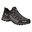 Damen-Outdoorschuhe Salewa  WS MTN Trainer Lite GTX Wallnut/Fluo Coral