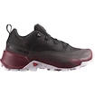 Damen-Outdoorschuhe Salomon  CROSS HIKE GTX 2 W Shale/Wild Ginger/Cradle Pink  UK 5