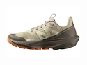 Damen-Outdoorschuhe Salomon  ELIXIR ACTIV W White Pepper/Falcon/Papaya