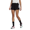 Damen Shorts adidas  Terrex Parley Agravic All-Around Black