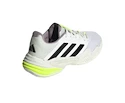 Damen Tennisschuhe adidas  Barricade 13 W FTWWHT/CBLACK/CRYJAD