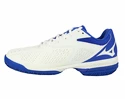 Damen Tennisschuhe Mizuno  Wave Exceed Tour 4 CC White/Blue