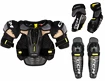Eishockey Schützer Set