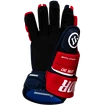 Eishockeyhandschuhe Warrior Covert QR5 30 Red Senior