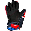 Eishockeyhandschuhe Warrior Covert QRE 10 Senior