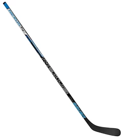 Eishockeyschläger Bauer Nexus N2700 Grip Intermediate