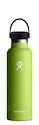 Flasche Hydro Flask  Standard Mouth 21 oz (621 ml) Seagrass