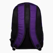 Forever Collectibles Action Backpack NFL Minnesota Vikings