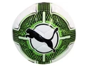 Fußball Puma
