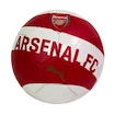 Fußball Puma