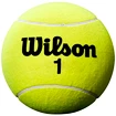 Giantbälle Wilson Roland Garros 5" Mini Jumbo Yelllow